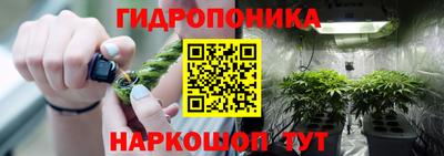 ПСИЛОЦИБИНОВЫЕ ГРИБЫ Гусев